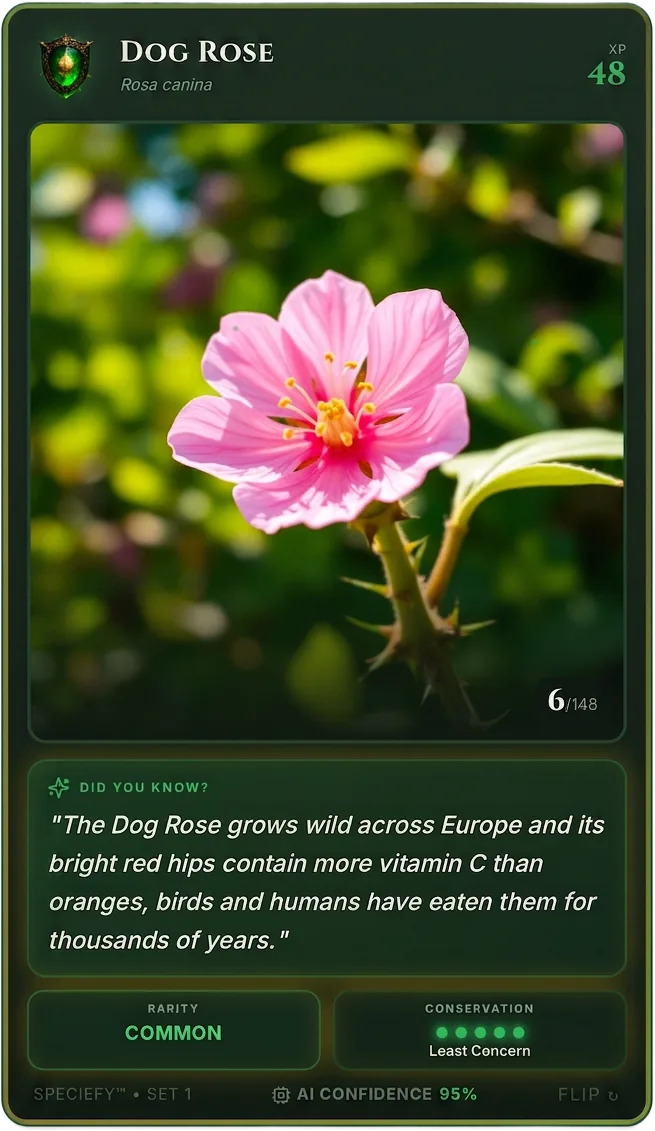 Speciefy app — Dog Rose collection card