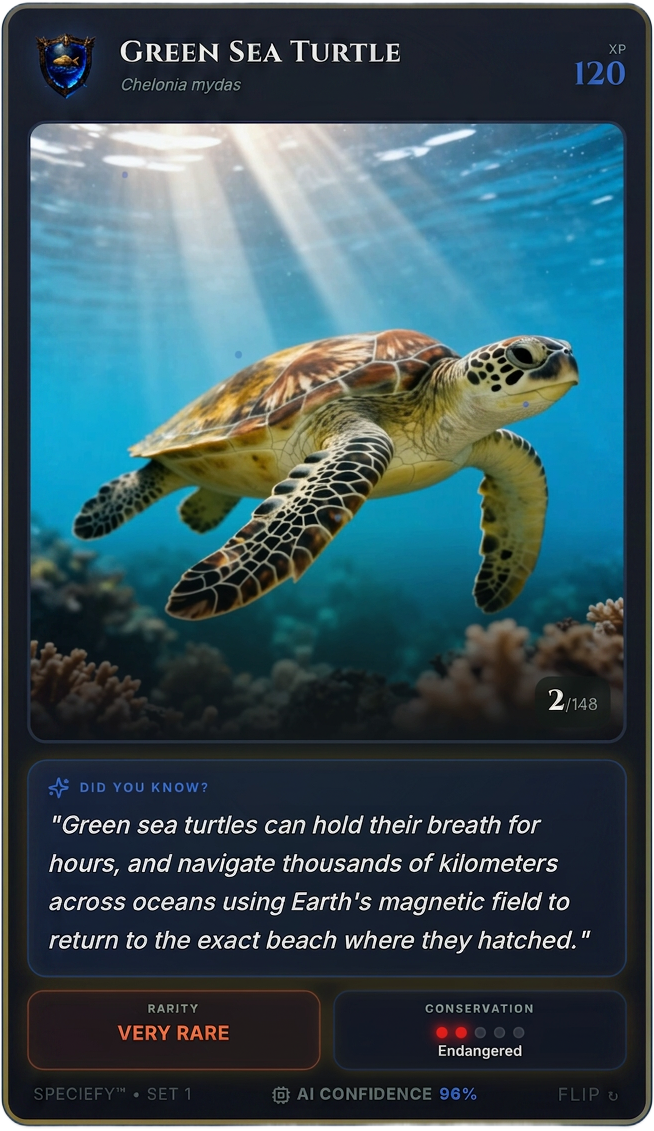 Speciefy app — Green Sea Turtle collection card